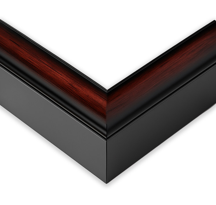 Two-Tone Walnut Shadow Box frame moulding shown at the miter join